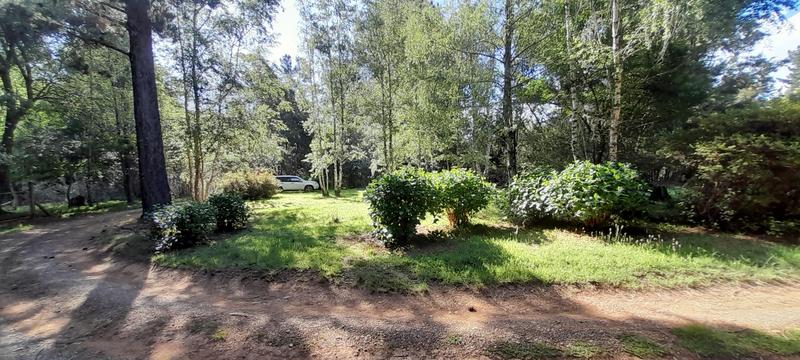 0 Bedroom Property for Sale in Hogsback Eastern Cape